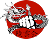 Ryounkai – Nippon Bogu Karate Logo